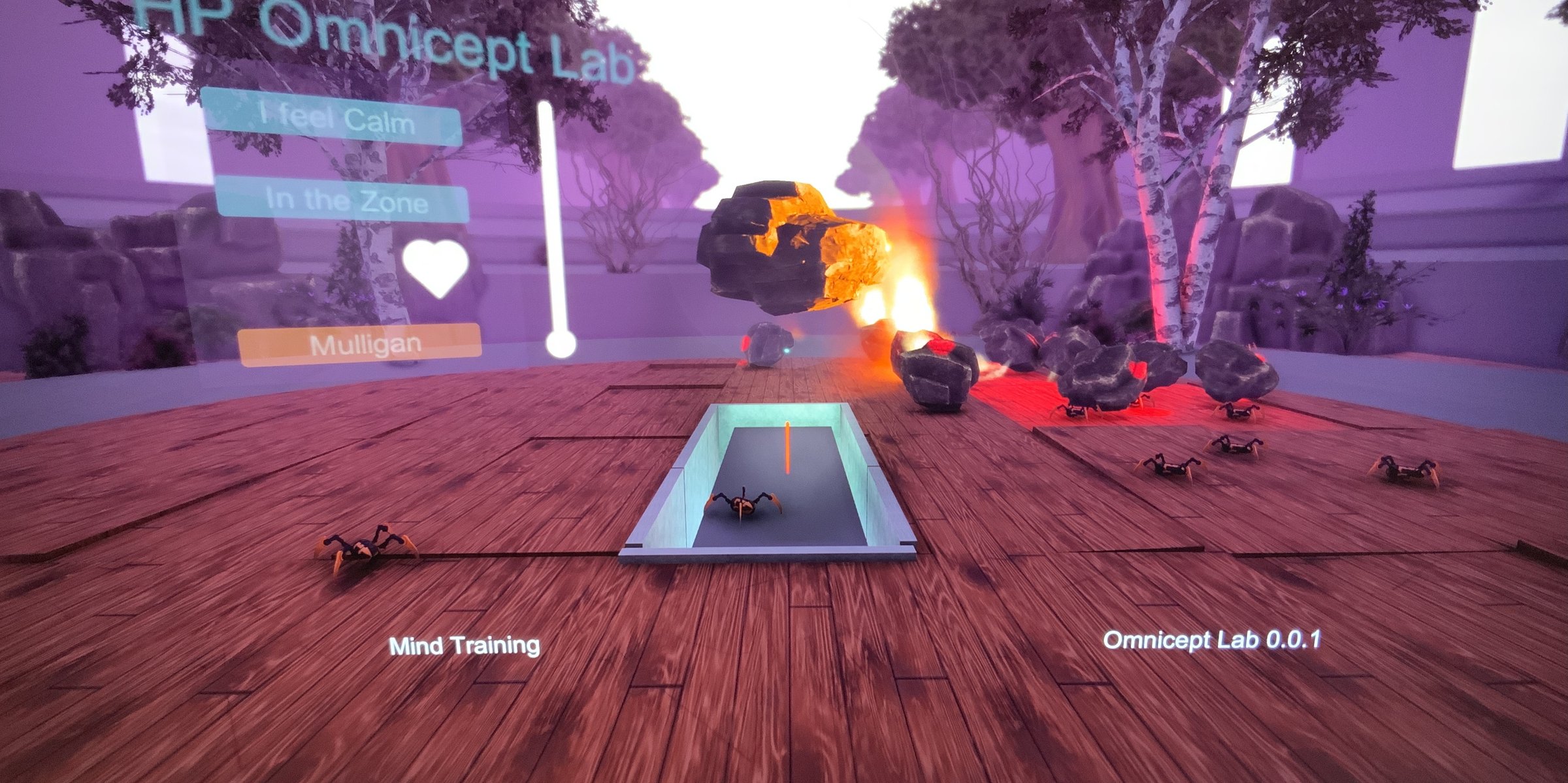 Zen by Z — HP Omnicept Lab mind training